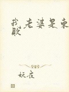 我老婆是东方不败