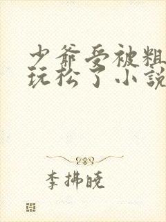 少爷受被粗汉H玩松了小说