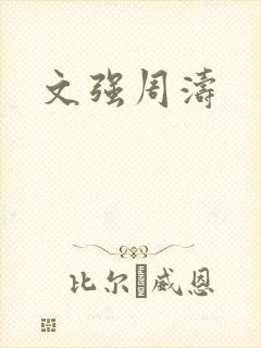 文强周涛封面