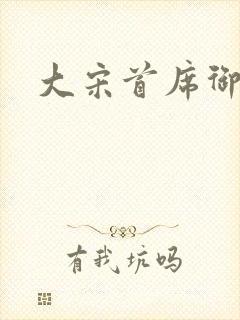 大宋首席御医封面