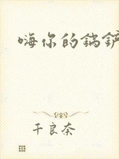 嗨你的锅铲