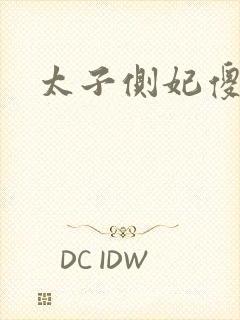 太子侧妃傻乎乎封面