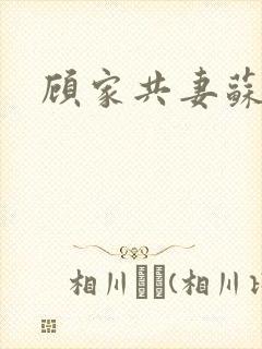 顾家共妻苏念封面
