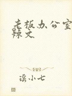 老板办公室系列辣文