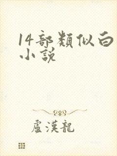 14部类似白洁小说封面