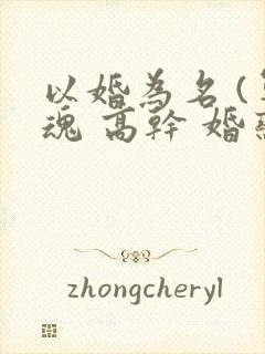 以婚为名 (军魂 高干 婚恋)