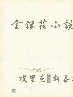 金银花小说乐可