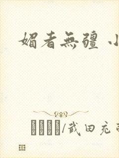 媚者无疆 小说