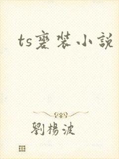 ts变装小说
