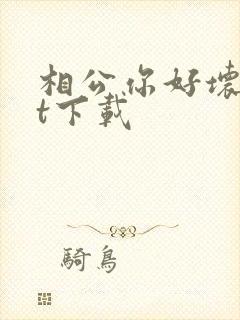 相公你好坏txt下载
