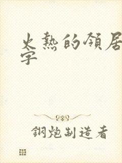 火热的领居中文字