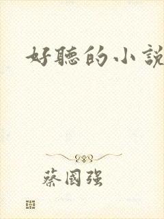 好听的小说名字封面