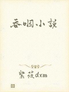 吞咽小说