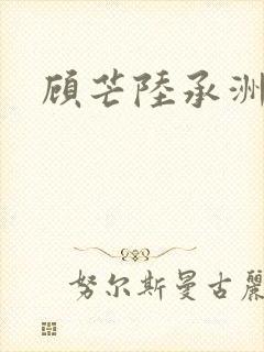 顾芒陆承洲