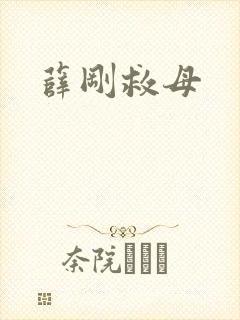 薛刚救母