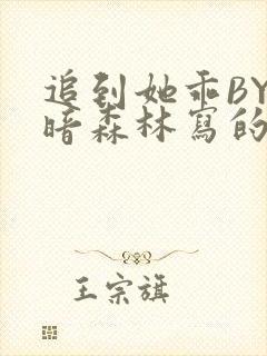 追到她乖BY黑暗森林写的小说
