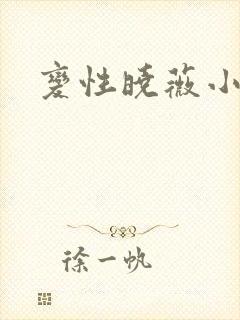 变性晓薇小说封面