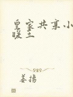 皇家共享小公主暖玉封面