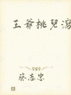 王爷桃儿泻了封面