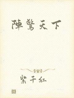 阵惊天下