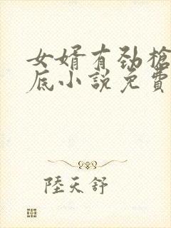 女婿有劲枪枪到底小说免费阅读封面
