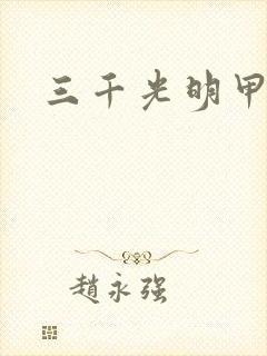 三千光明甲