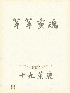 等等灵魂封面