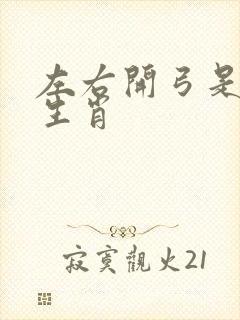 左右开弓是什么生肖
