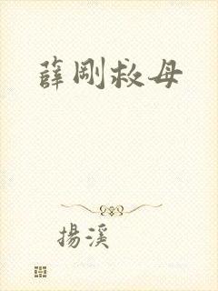 薛刚救母封面