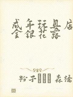 成年玩具店by金银花露封面