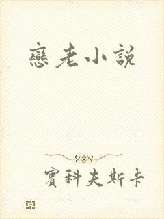 恋老小说