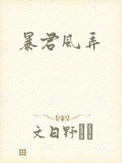 暴君风弄