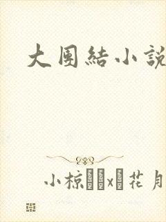 大团结小说全文