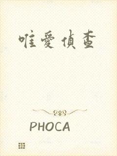 唯爱侦查