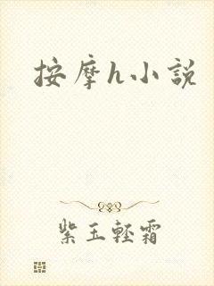 按摩h小说