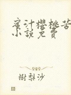 蜜汁樱桃苦咖啡小说免费