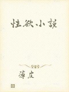 性欲小说封面