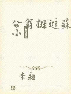 公翁挺进苏玥的小泬