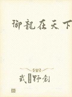 御龙在天下载封面
