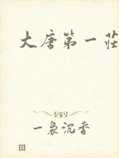 大唐第一庄