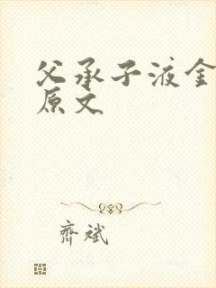 父承子液金银花原文封面