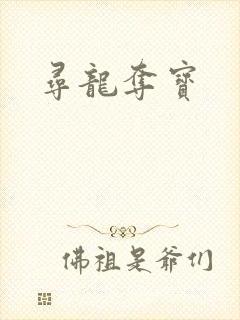 寻龙夺宝