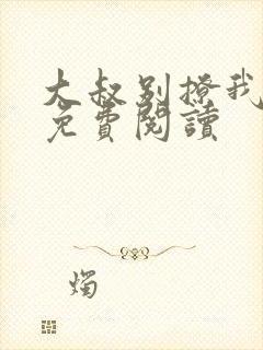 大叔别撩我小说免费阅读