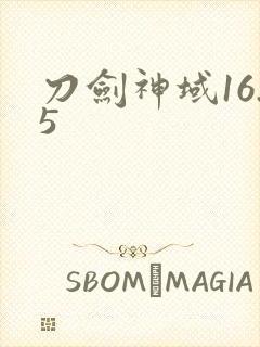 刀剑神域16.5