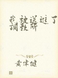 我被送进了私奴调教所