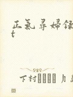 正气寻妇录txt