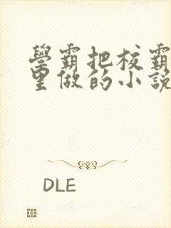 学霸把校霸往死里做的小说