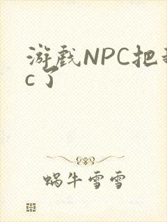 游戏NPC把我c了