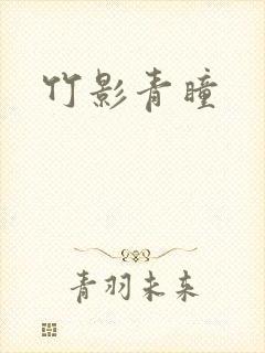 竹影青瞳封面