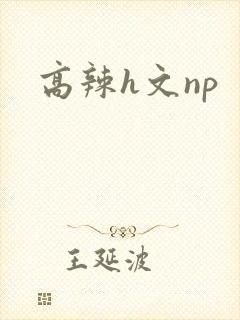 高辣h文np